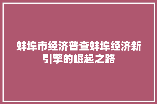 蚌埠市经济普查蚌埠经济新引擎的崛起之路