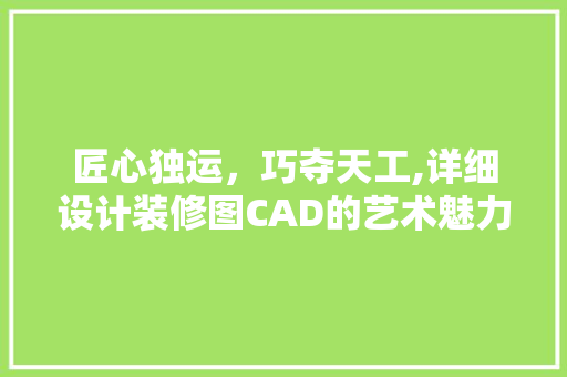 匠心独运，巧夺天工,详细设计装修图CAD的艺术魅力
