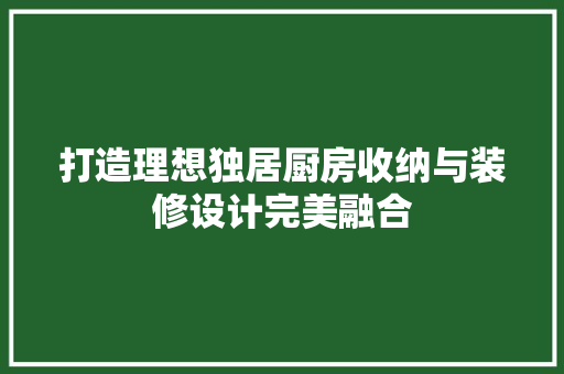 打造理想独居厨房收纳与装修设计完美融合