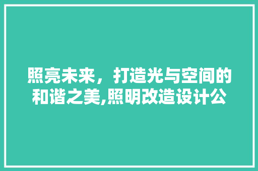 照亮未来，打造光与空间的和谐之美,照明改造设计公司装修