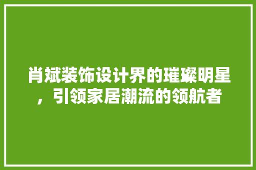 肖斌装饰设计界的璀璨明星,引领家居潮流的领航者