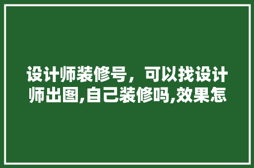 设计师装修号，可以找设计师出图,自己装修吗,效果怎么样
