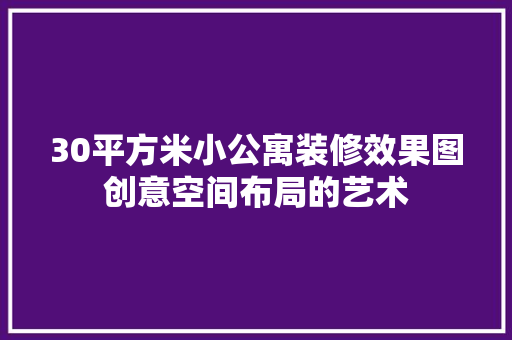 30平方米小公寓装修效果图创意空间布局的艺术