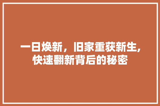 一日焕新，旧家重获新生,快速翻新背后的秘密