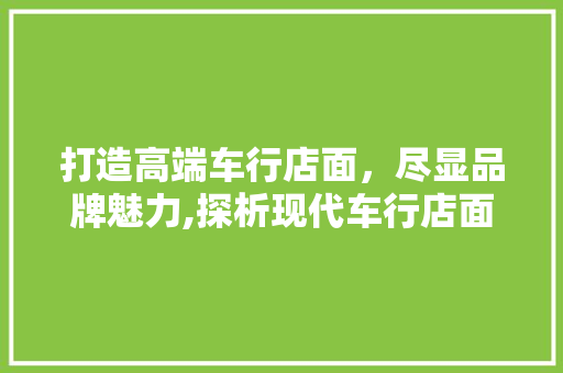 打造高端车行店面，尽显品牌魅力,探析现代车行店面装修设计之路