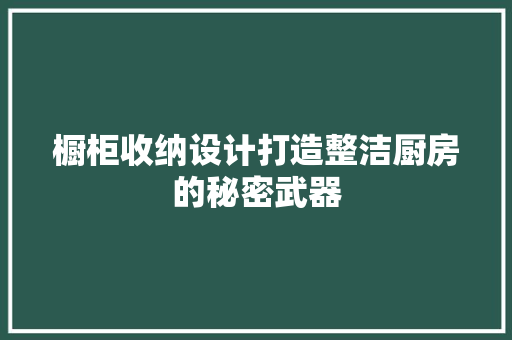 橱柜收纳设计打造整洁厨房的秘密武器
